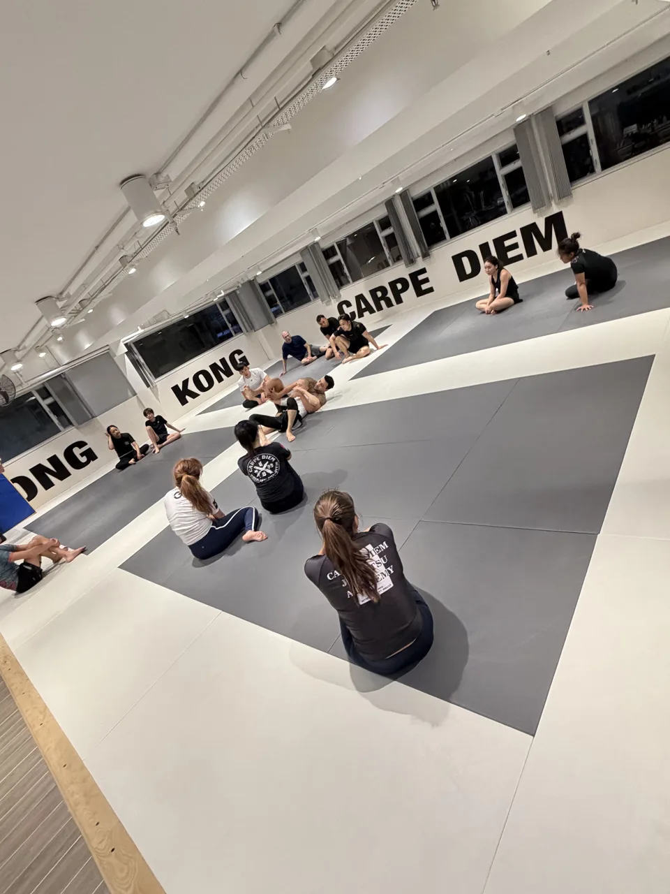 Carpe Diem Jiu Jitsu 柔術館 Hong Kong - SYP