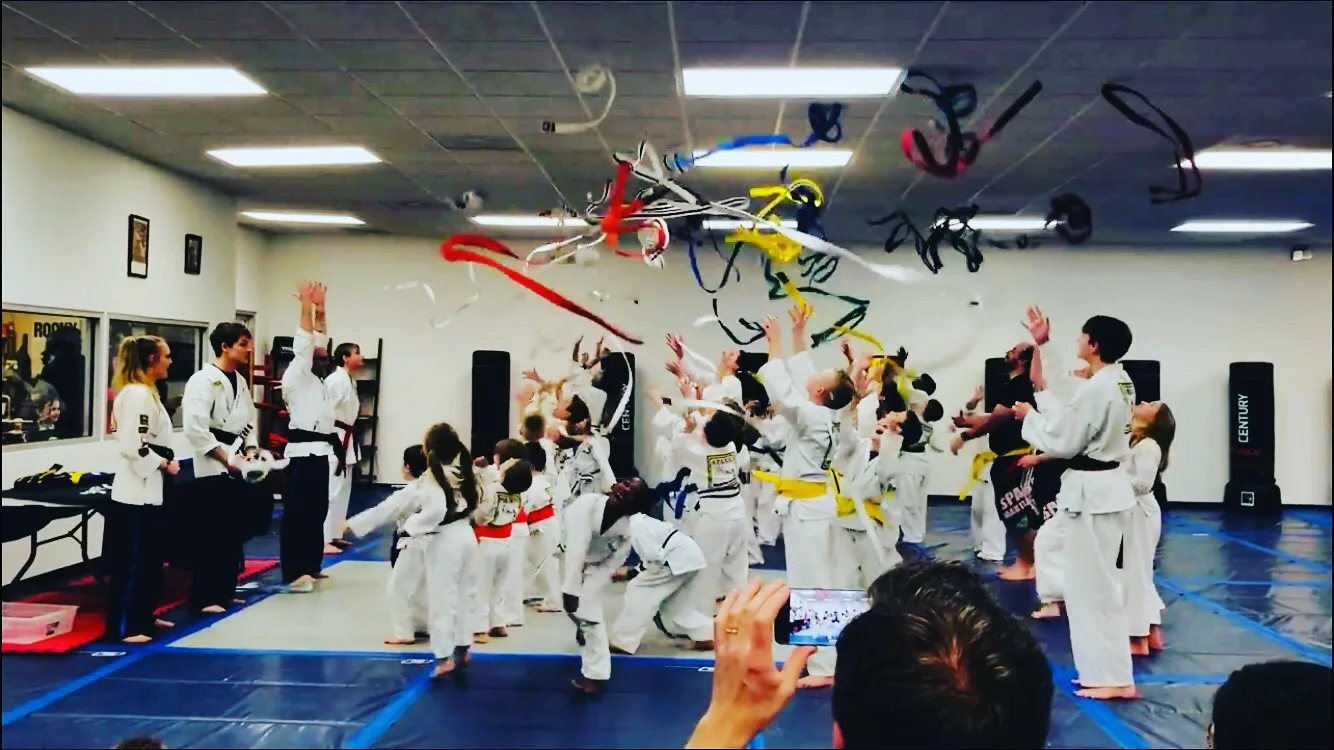 Ballantyne Martial Arts