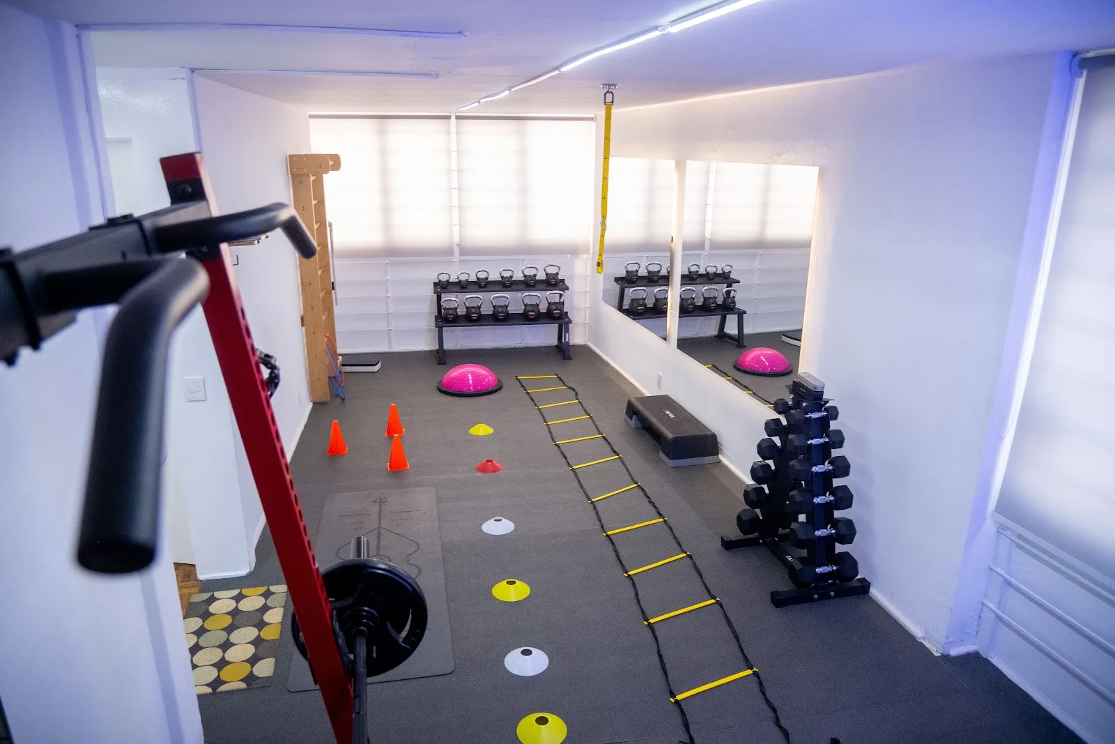 Equilibrio fitness