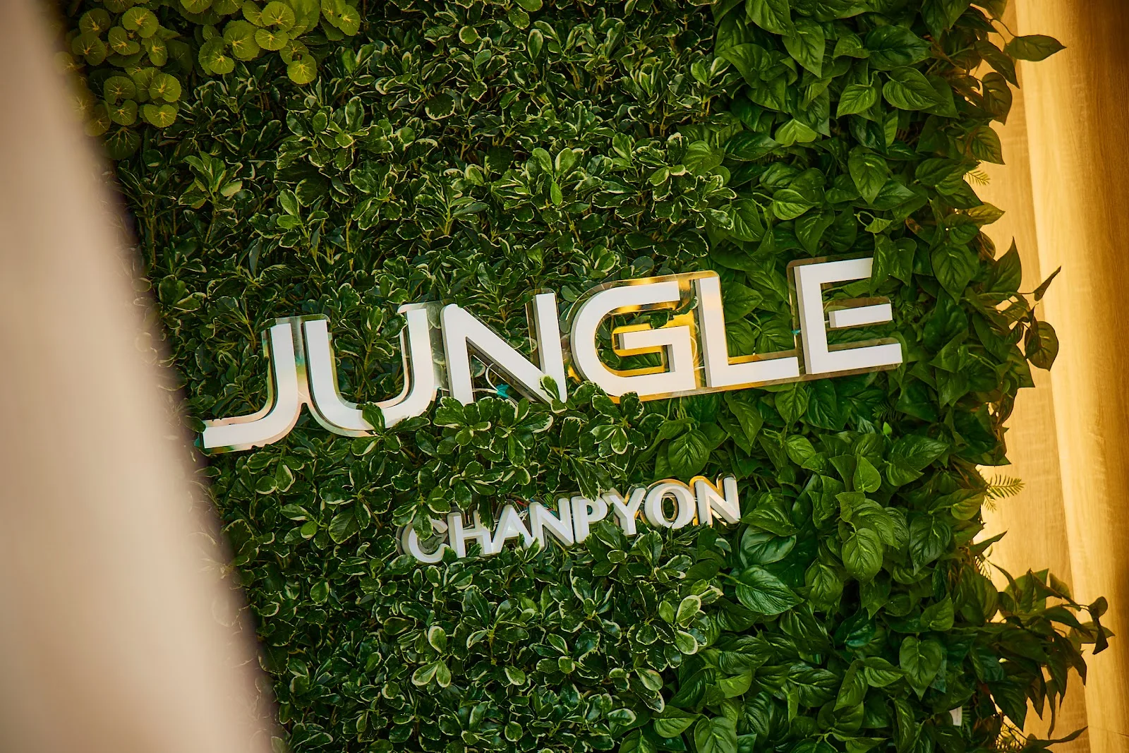JUNGLE CENTER 叢零體適能中心