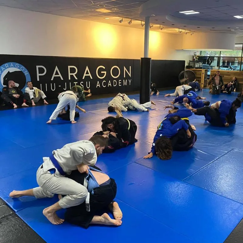 Paragon Jiu-Jitsu Academy Austin