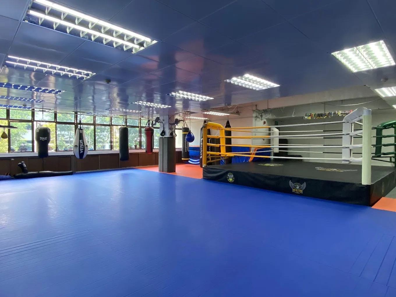 NEW ERA MMA SG