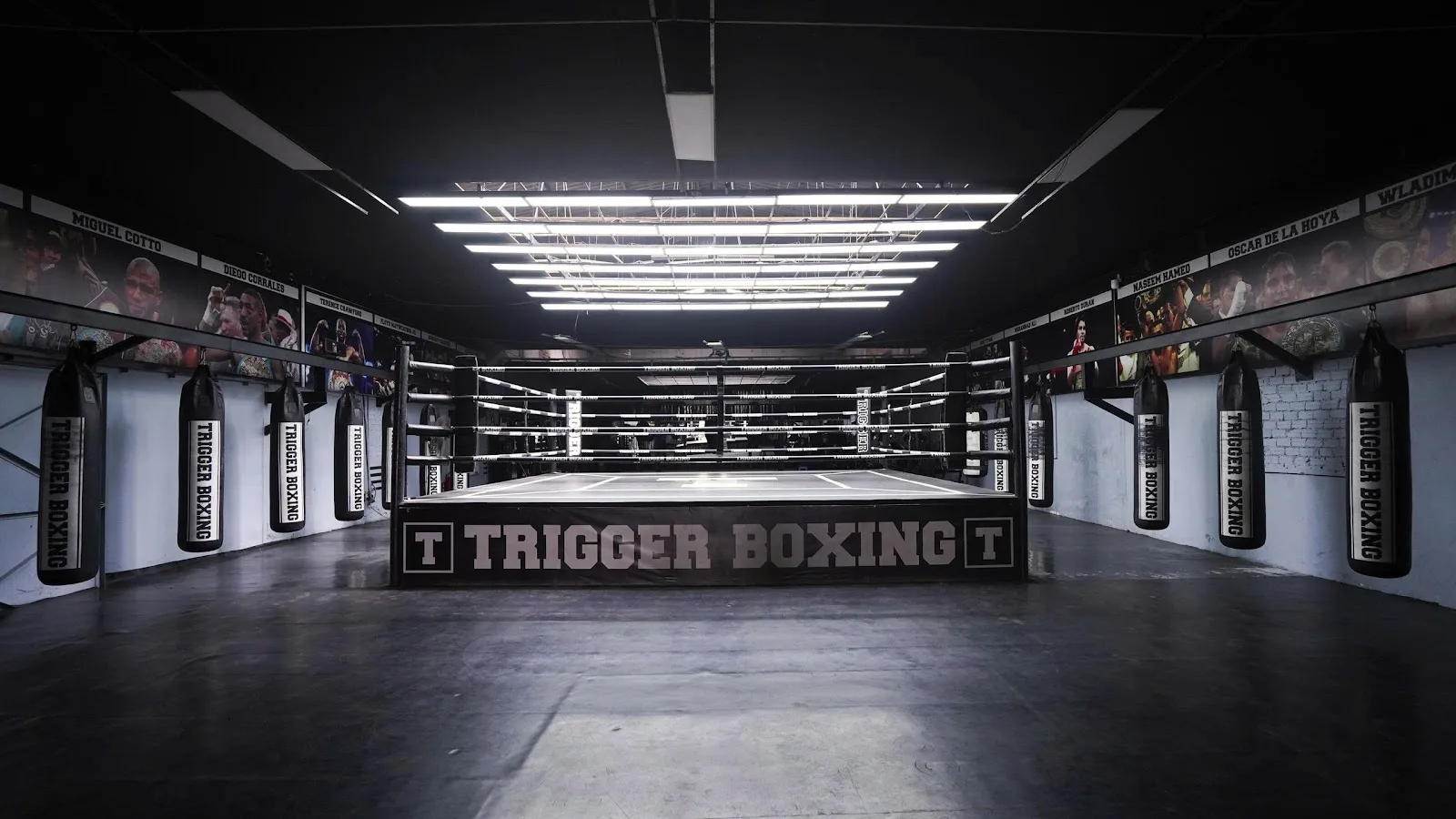 Trigger Boxing