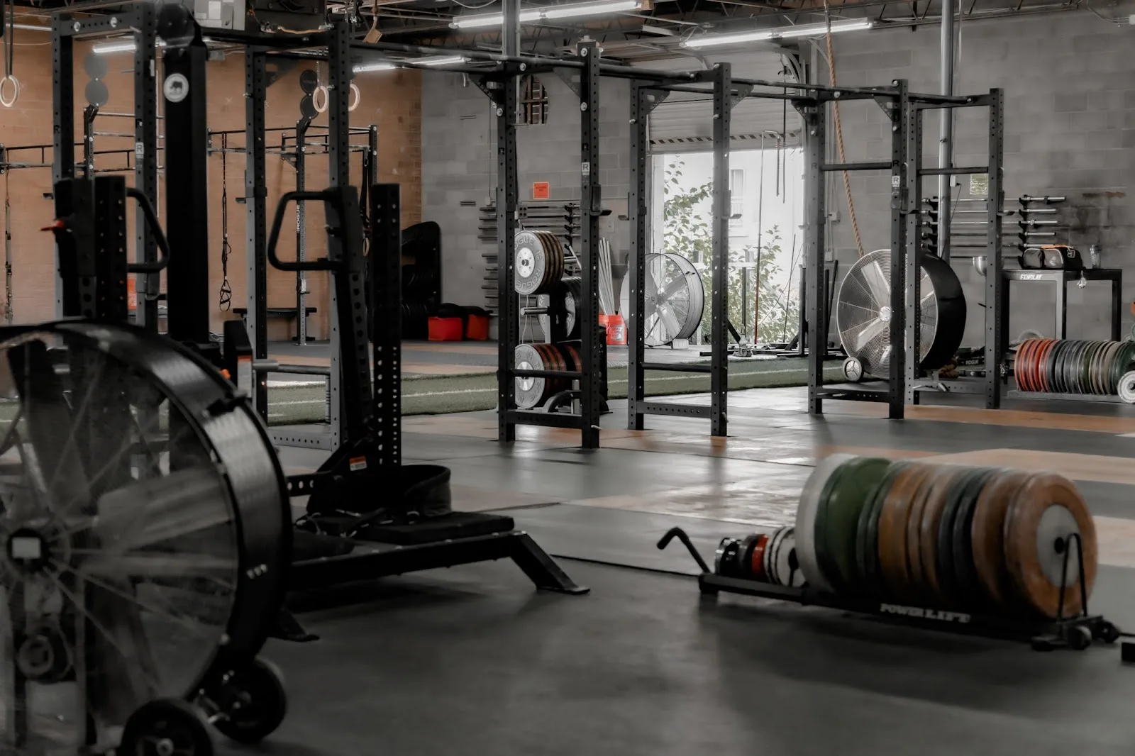 Charlotte Strength
