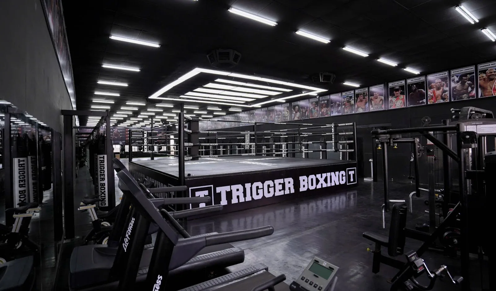 Trigger Boxing