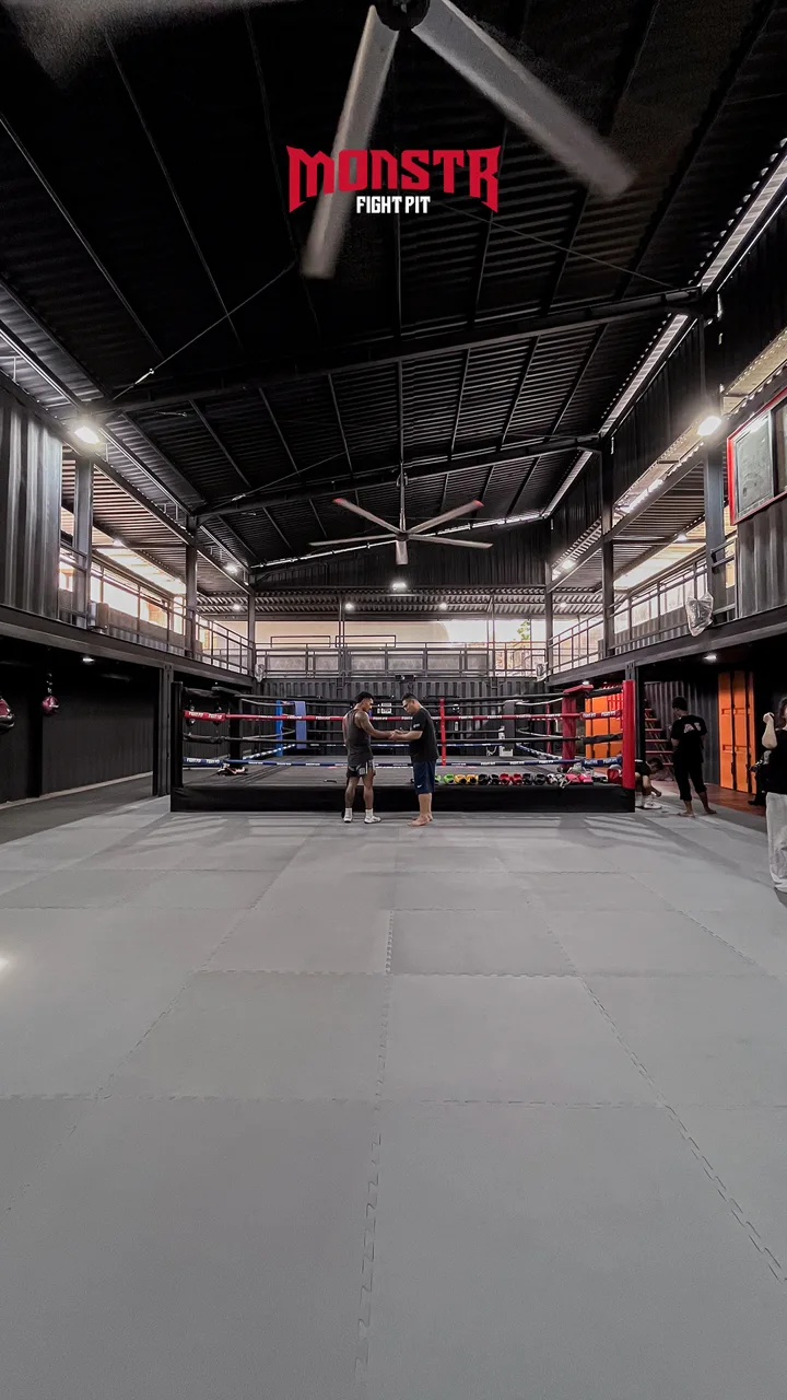 MONSTR Fight Pit
